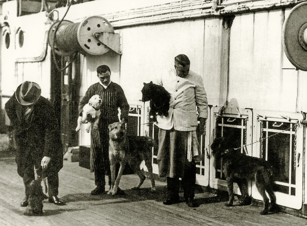 1931年出版 エッチング 犬 BERT COBB アメリカ 1931年出版 エッチング 犬 BERT COBB アメリカ - メルカリ